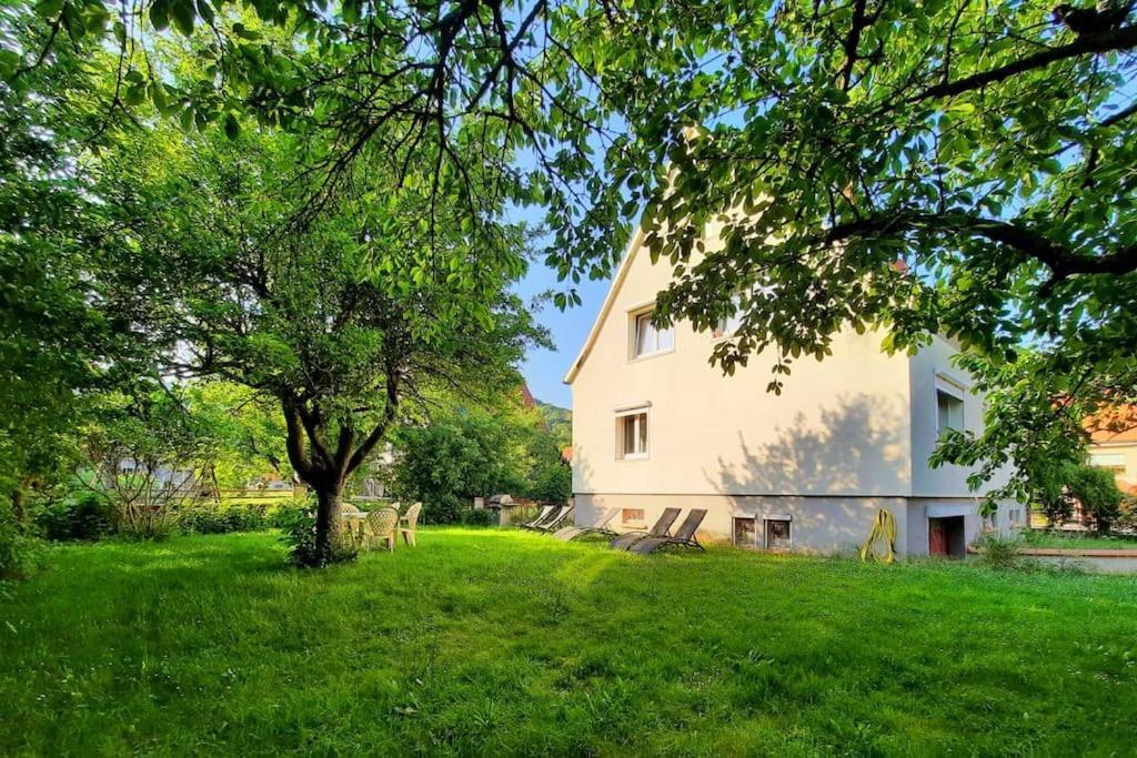 Rooms 4 Persons Kaysersberg Dış mekan fotoğraf